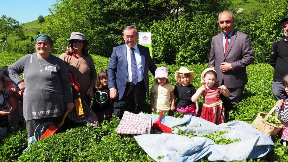 ÇAYKUR’UN “ÇOCUK ÇAY HASADI ŞENLİĞİ” RENKLİ GÖRÜNTÜLERE SAHNE OLDU